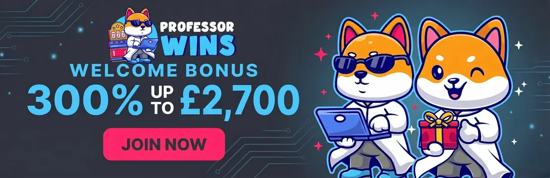 Professor Wins Casino